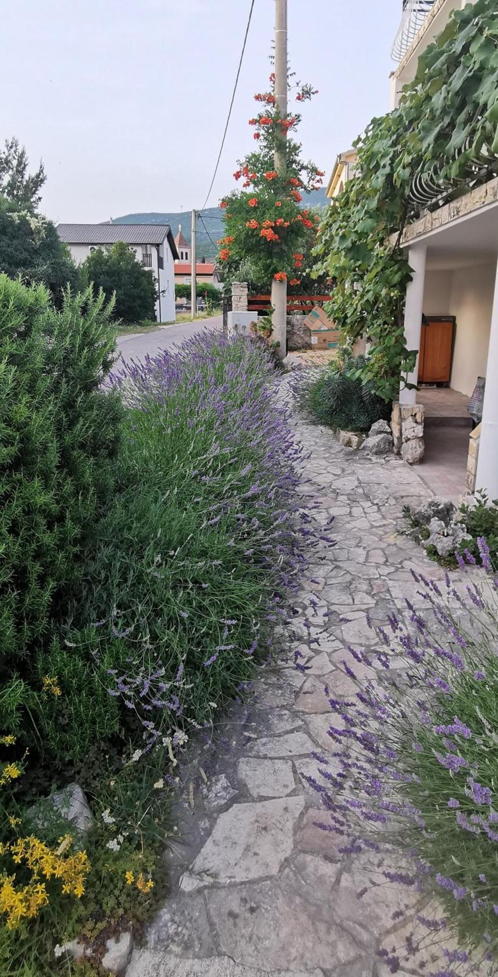 Casa Lavanda 2 - Karin Gornji Gornji Karin Exterior foto